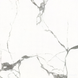 Керамическая плитка ALMERA CERAMICA-2 GXJ00160S Carrara 325392 фото 6